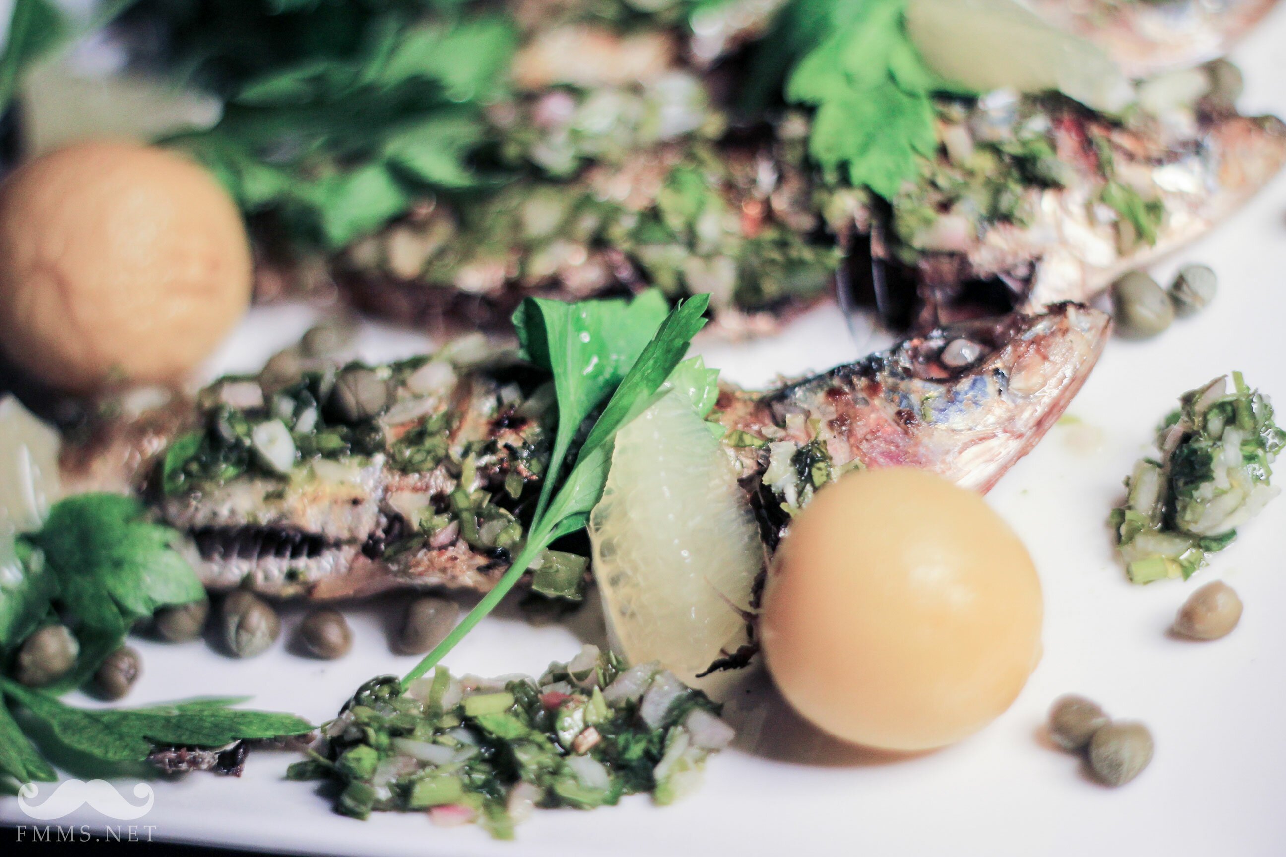 sardines_featured_wm